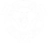 transstone logo